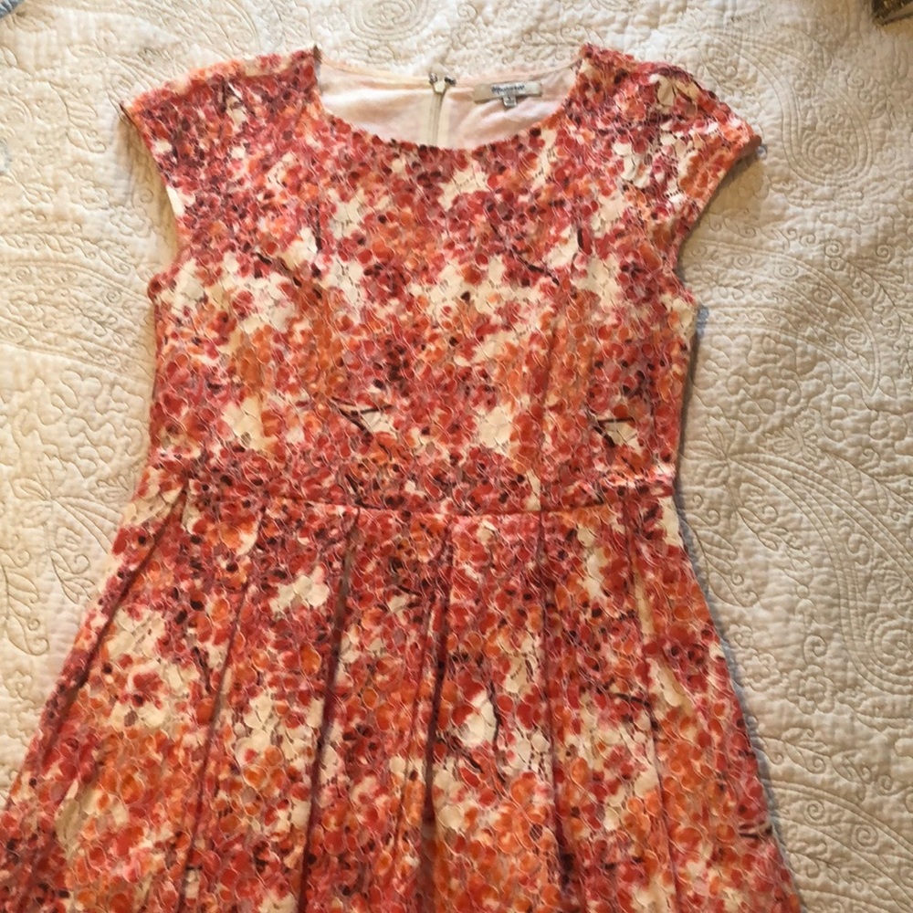 Pink lace Madewell cocktail dress